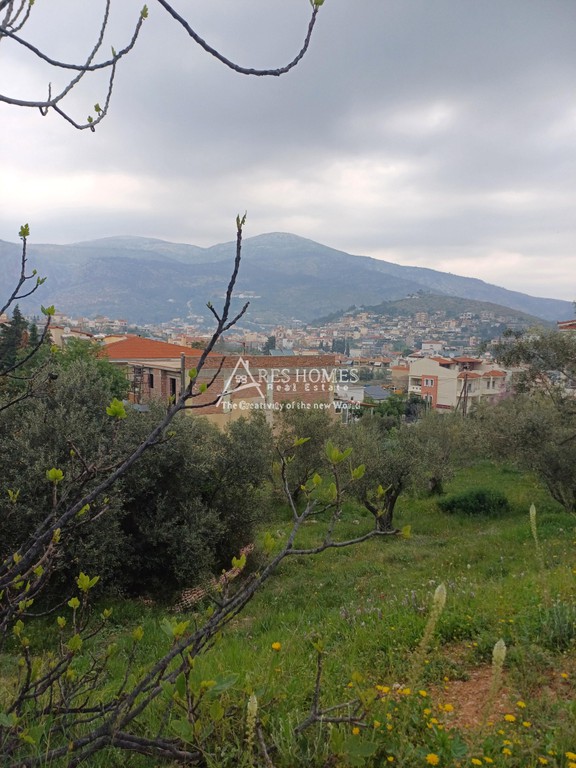Οικόπεδο 887 τ.μ. προς πώληση, Κέντρο Φυλής