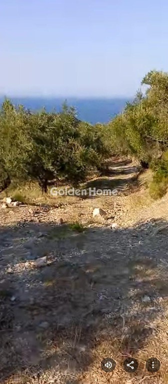 Αγροτεμάχια 4.709 τ.μ. πρός πώληση, Μαγνησία, Αργαλαστή