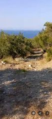 Αγροτεμάχια 4.768 τ.μ. για πώληση