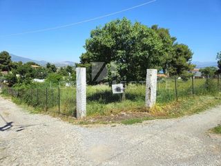 Αγροτεμάχια 3.961 τ.μ. για πώληση