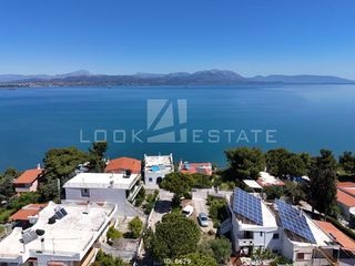 Αγροτεμάχια 4.000 τ.μ. για πώληση