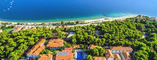Αγροτεμάχια 250 τ.μ. για πώληση