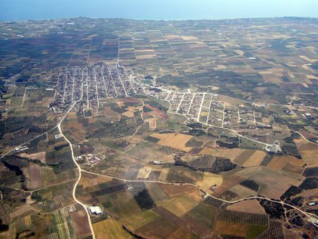 Αγροτεμάχια 10.000 τ.μ. πρός πώληση