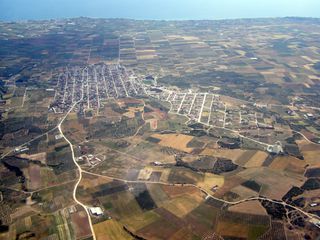 Αγροτεμάχια 10.000 τ.μ. για πώληση