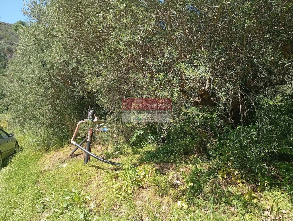 Αγροτεμάχια 11.070 τ.μ. προς πώληση, Ζουνάκι