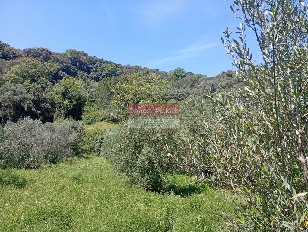 Αγροτεμάχια 11.070 τ.μ. προς πώληση, Ζουνάκι