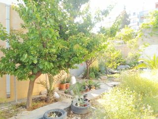 Studio / γκαρσονιέρα 20 τ.μ. πρός ενοικίαση, Ν. Λασιθίου, Σητεία-thumb-1