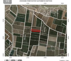 Αγροτεμάχια 10.400 τ.μ. για πώληση