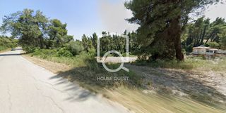 Αγροτεμάχια 5.200 τ.μ. για πώληση