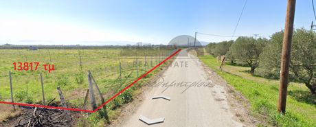 Αγροτεμάχια 13.817 τ.μ. προς πώληση