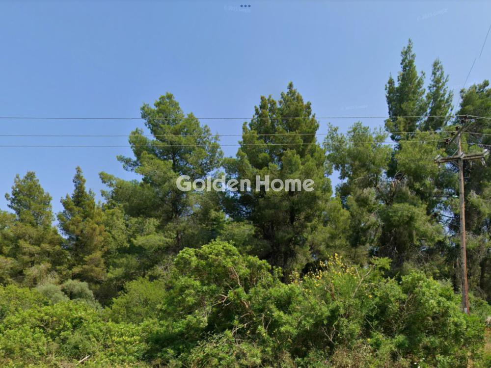 Αγροτεμάχια 5.458 τ.μ. προς πώληση, Παλιούρι Παλλήνης