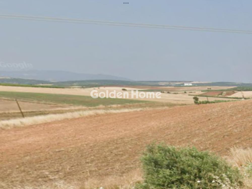 Αγροτεμάχια 13.250 τ.μ. προς πώληση, Κέντρο Καλλικράτειας