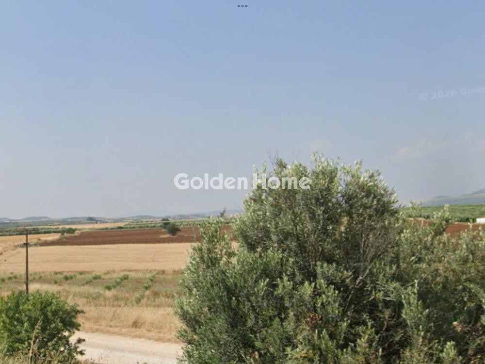 Αγροτεμάχια 13.250 τ.μ. προς πώληση, Κέντρο Καλλικράτειας