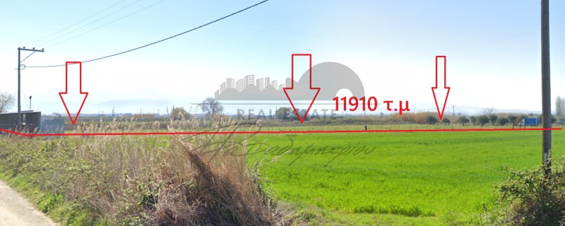 Αγροτεμάχια 11.910 τ.μ. πρός πώληση, Μαγνησία, Νέα Αγχίαλος