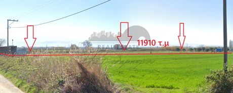 Αγροτεμάχια 11.910 τ.μ. προς πώληση