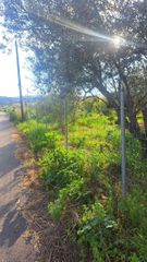Οικόπεδο 3.000 τ.μ. για πώληση, Κορινθία, Σικυώνα-thumb-9