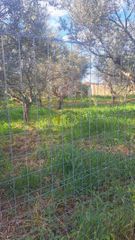 Οικόπεδο 3.000 τ.μ. για πώληση, Κορινθία, Σικυώνα-thumb-11