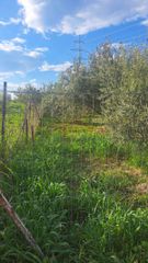 Οικόπεδο 3.000 τ.μ. για πώληση, Κορινθία, Σικυώνα-thumb-4