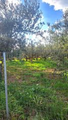 Οικόπεδο 3.000 τ.μ. για πώληση, Κορινθία, Σικυώνα-thumb-2