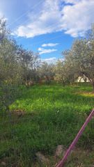 Οικόπεδο 3.000 τ.μ. για πώληση, Κορινθία, Σικυώνα-thumb-1
