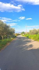 Οικόπεδο 3.000 τ.μ. για πώληση, Κορινθία, Σικυώνα-thumb-20