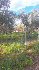 Οικόπεδο 3.000 τ.μ. για πώληση, Κορινθία, Σικυώνα-thumb-12