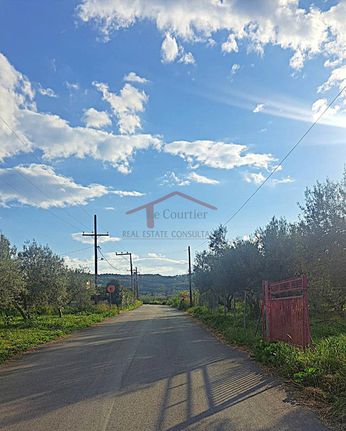 Οικόπεδο 3.000 τ.μ. για πώληση, Κορινθία, Σικυώνα