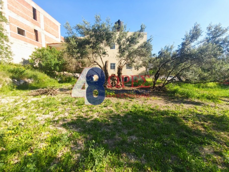 Οικόπεδο 705,63 τ.μ. προς πώληση, Ομηρούπολη