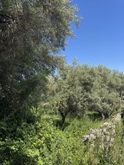Οικόπεδο 720 τ.μ. για πώληση, Ν. Λευκάδας, Λευκάδα-thumb-8