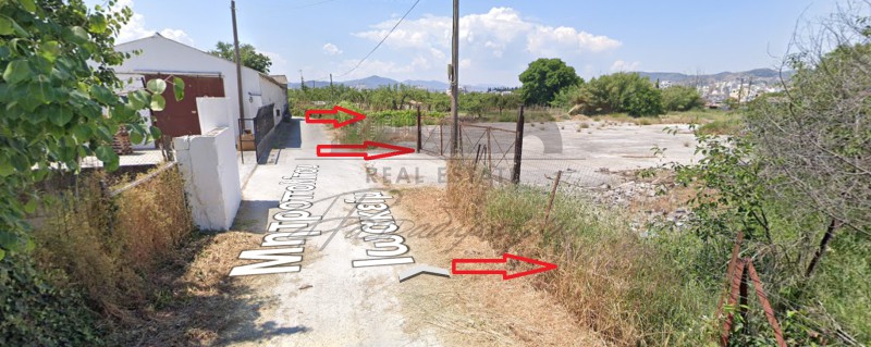 Αγροτεμάχια 2.594 τ.μ. προς ενοικίαση, Χρυσοχοΐδη