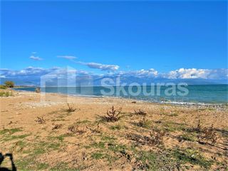 Μονοκατοικία 280 τ.μ. για πώληση, Μεσσηνία, Μεσσήνη-thumb-9