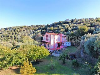 Μονοκατοικία 280 τ.μ. για πώληση, Μεσσηνία, Μεσσήνη-thumb-2