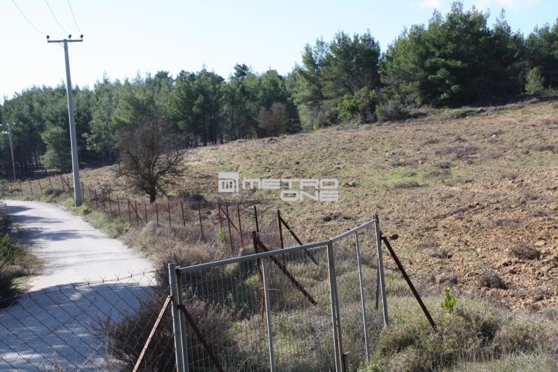 Οικόπεδο 17.823 τ.μ. προς πώληση, Βλαστός