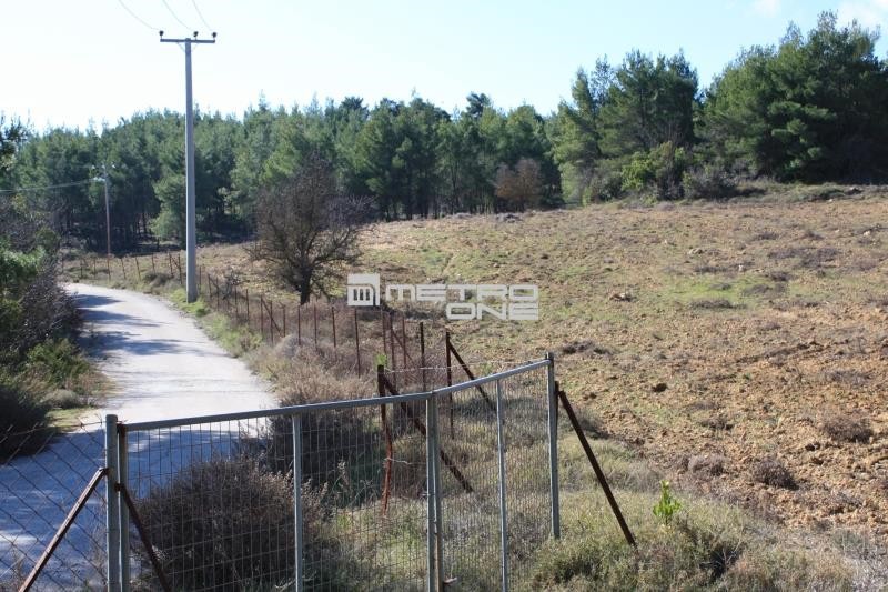 Οικόπεδο 17.823 τ.μ. προς πώληση, Βλαστός