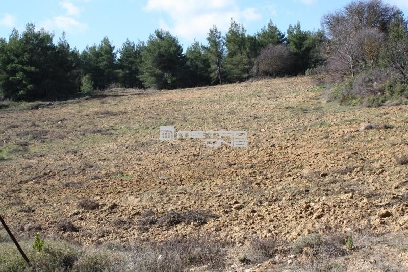 Οικόπεδο 17.823 τ.μ. προς πώληση, Βλαστός
