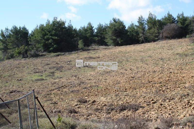 Οικόπεδο 17.823 τ.μ. προς πώληση, Βλαστός
