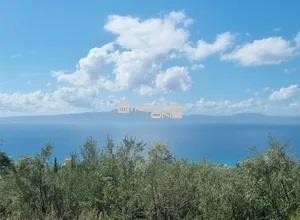 Οικόπεδο 17.823 τ.μ. προς πώληση, Βλαστός