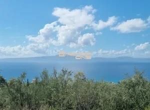 Οικόπεδο 17.823 τ.μ. προς πώληση