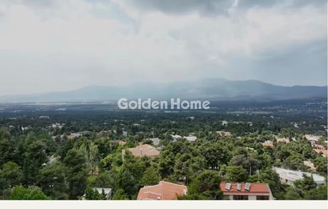 Οικόπεδο 1.560 τ.μ. προς πώληση