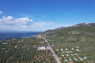Αγροτεμάχια 4.234 τ.μ. για πώληση