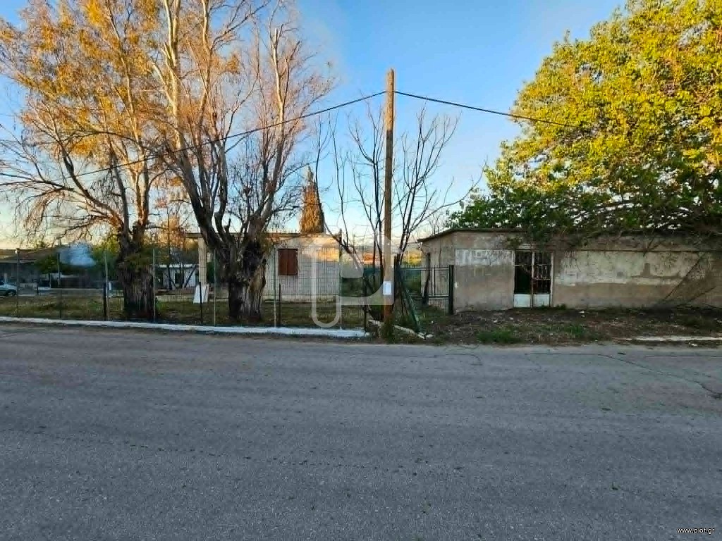 Μονοκατοικία 1.090 τ.μ. πρός πώληση, Αχαΐα, Ωλένια
