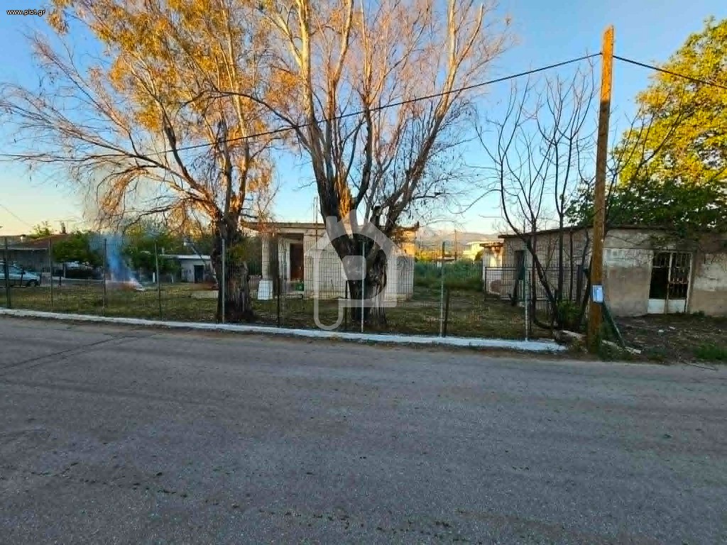 Μονοκατοικία 1.090 τ.μ. πρός πώληση, Αχαΐα, Ωλένια