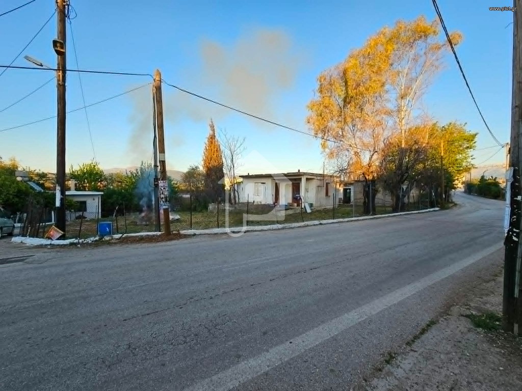 Μονοκατοικία 1.090 τ.μ. πρός πώληση, Αχαΐα, Ωλένια