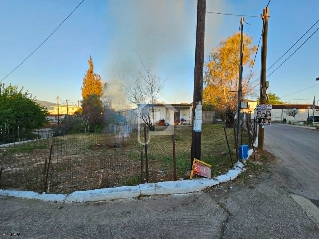 Μονοκατοικία 1.090 τ.μ. πρός πώληση, Αχαΐα, Ωλένια