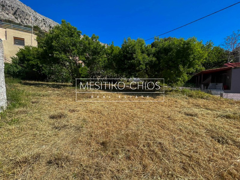 Οικόπεδο 403,24 τ.μ. προς πώληση, Ομηρούπολη