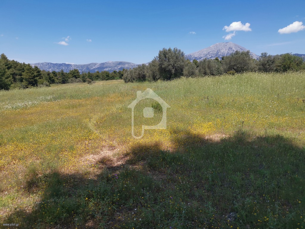 Αγροτεμάχια 20.000 τ.μ. για πώληση, Εύβοια, Δίρφυς