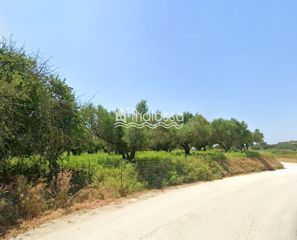 Αγροτεμάχια 7.122 τ.μ. για πώληση