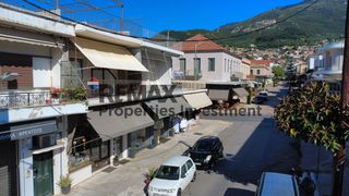 Διαμέρισμα 208 τ.μ. για πώληση, Μεσσηνία, Κυπαρισσία-thumb-18