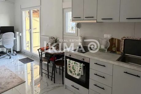 Studio 50 sqm for rent