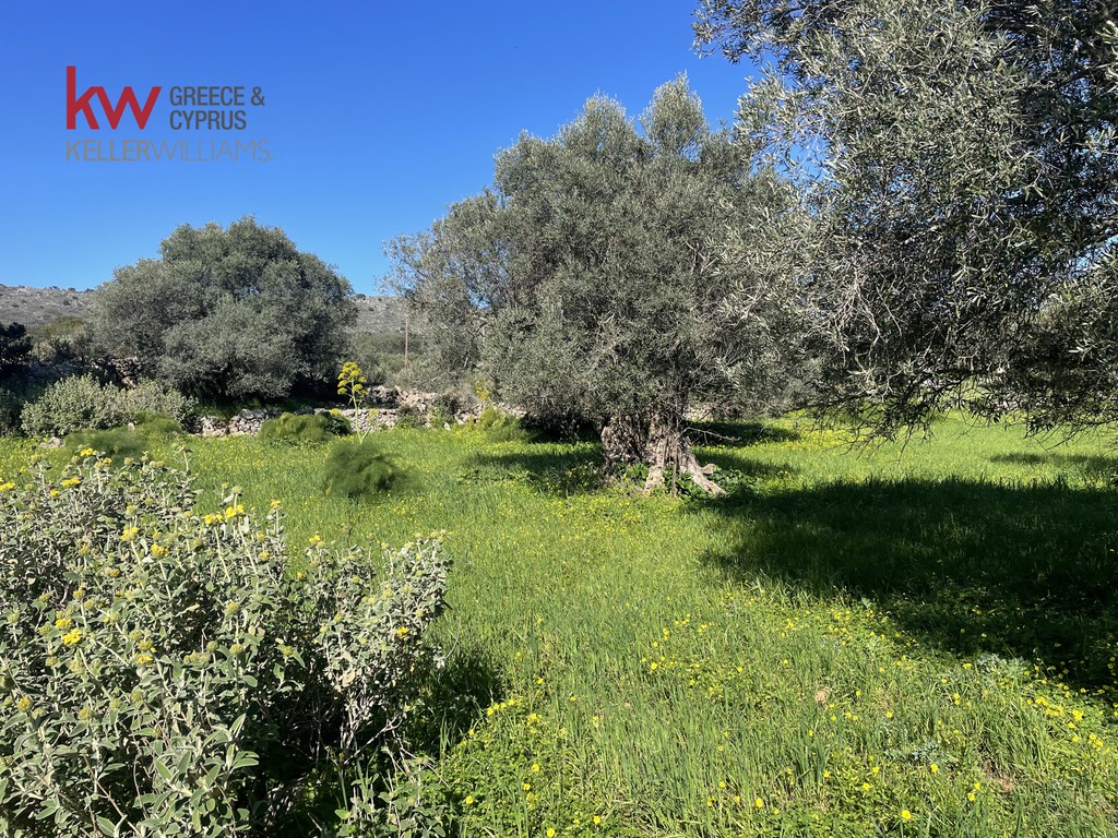 Οικόπεδο 7.676,83 τ.μ. πρός πώληση, Ν. Ρεθύμνου, Νικηφόρος Φωκάς